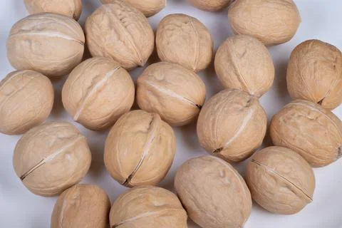 Nut shell evaluation. Shell examination process for walnut quality assurance tes Stock Photos