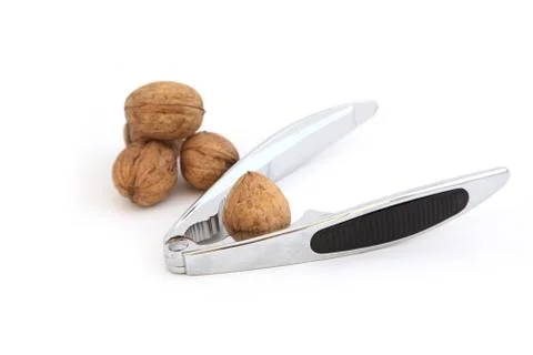 Nut shell Stock Photos