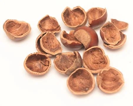 Nut shell Stock Photos