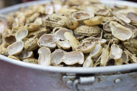 Nut shell Stock Photos