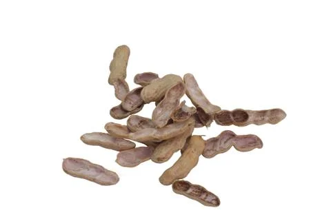 Nut shell in white background. Stock Photos