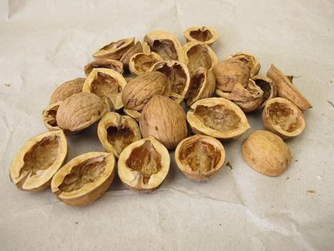 Nut shells for craft Stock Photos