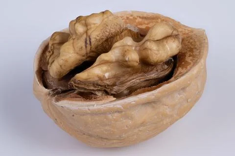 Nut surface detail. Close view of walnut kernel. Highdetail photograph of walnut Foto stock