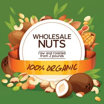 Nut vector nutshell of hazelnut walnut and almond nuts backdrop organic food Stock Illustration