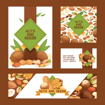 Nut vector nutshell of hazelnut walnut and almond nuts set backdrop organic food Stock Illustration
