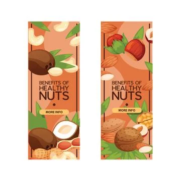 Nut vector nutshell of hazelnut walnut and almond nuts set backdrop organic food Stock Illustration