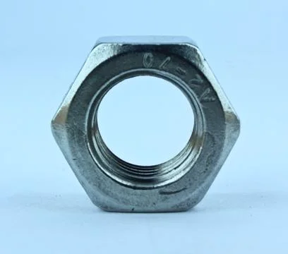 Nut  on a white background Stock Photos