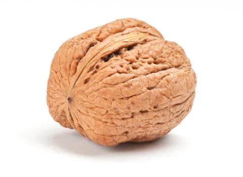Nut on white background Stock Photos