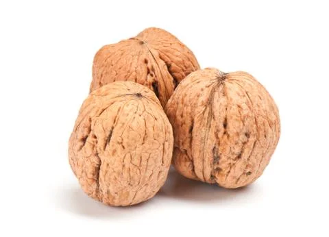 Nut on white background Stock Photos