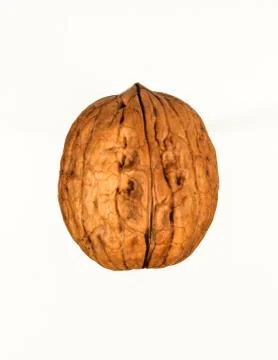 Nut wth white background Stock Photos