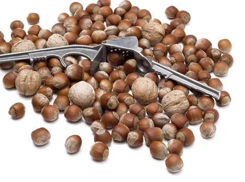 Nutcracker and nuts nutcracker and nuts over white background ,model relea... Foto stock