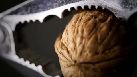 Nutcracker and Walnut extreme close up 4K stock footage Video stock 83127063