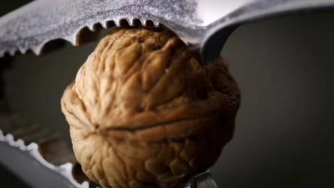 Nutcracker and Walnut extreme close up 4K stock footage Stock Footage 83127745