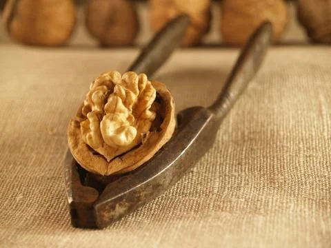 Nutcracker and walnut Stock Photos