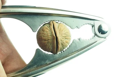 Nutcracker cracking walnut on white closeup Stock Footage 71245460