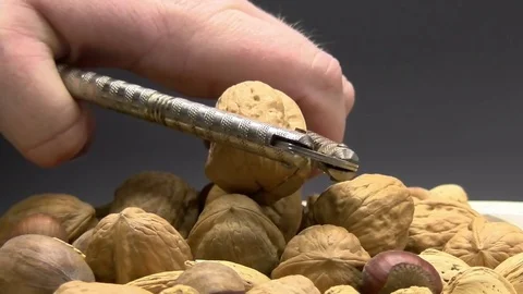 Nutcracker Crushing Walnut in Shell Mix Nuts on Black Slow Motion Stock Footage 70376929