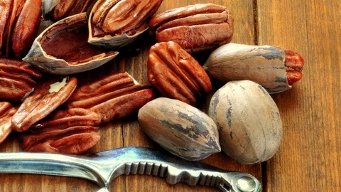 Nutcracker Stock Footage 80892986