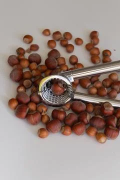 Nutcracker lying on the background of hazelnuts Foto stock