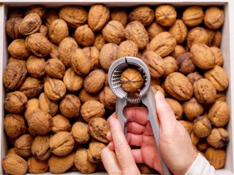Nutcracker over a box full of walnuts Stock Photos