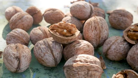Nutcracker tool lies beside whole walnuts Video stock 317518956