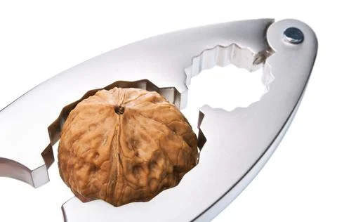 Nutcracker with walnut over white background Stock Photos