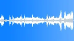 Nutcracker Waltz Of The FlowersStock Music