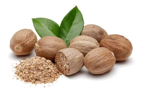 NUTMEG 0040 Stock Photos