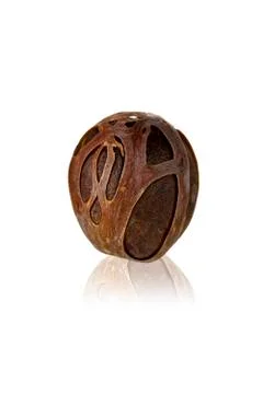 Nutmeg with dried shell Фото