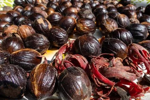 Nutmeg drying in the sun Stock Photos