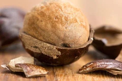 Nutmeg in a fragmented nutshell Foto stock