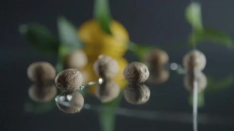 Nutmeg With Honey Video stock 197266678