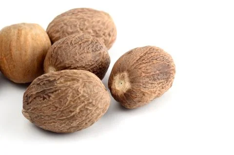 Nutmeg isolated on white background. Close up. Stock Photos