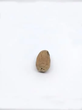 Nutmeg isolated on white background Stock Photos