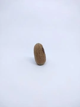 Nutmeg isolated on white background Stock Photos