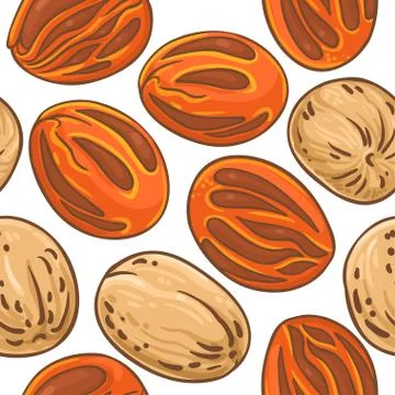 Nutmeg nuts vector pattern Stock Illustration