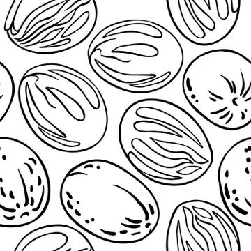 Nutmeg nuts vector pattern Stock Illustration