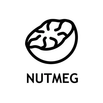 Nutmeg seed line icon. Stock Illustration