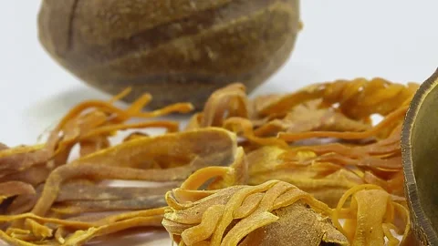 Nutmeg seed mace blade spice flavour texture dried on white background pan .. Stock-Footage 252243133