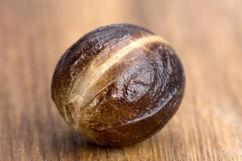 Nutmeg in a shell Stock Photos