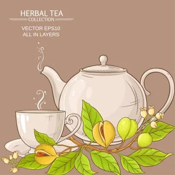 Nutmeg tea illustration Stock Illustration