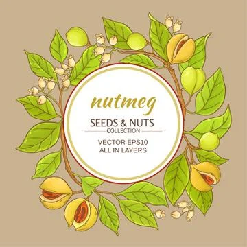 Nutmeg vector frame Stock Illustration