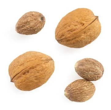 Nutmeg on white background Stock Photos