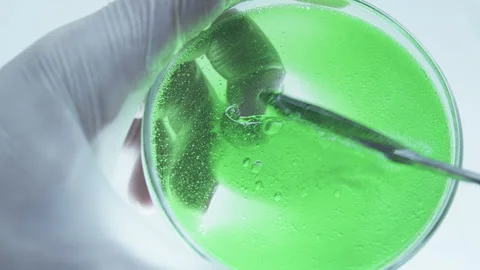  Nutrient biomass. Stock Footage 242805459