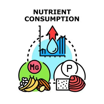 Nutrient consumption process optimizing healthy diet Stockillustratie