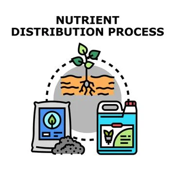 Nutrient distribution process for plant growth and care Stock Illustration