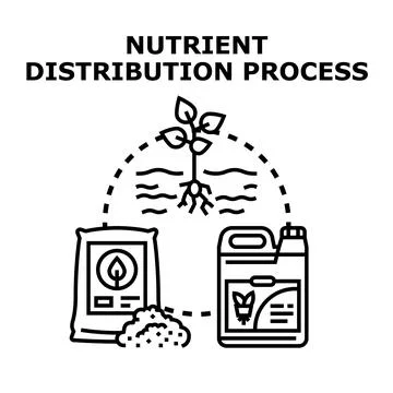 Nutrient distribution process for plant growth and care Stock Illustration
