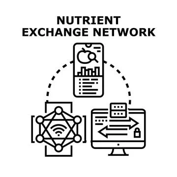 Nutrient exchange network concept illustrating information transfer イラスト素材