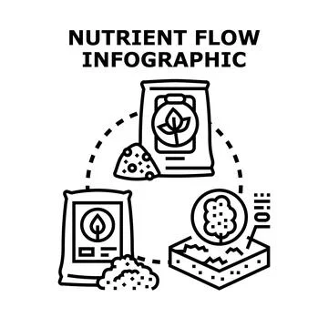 Nutrient flow infographic illustrating soil enrichment process Stock Illustration