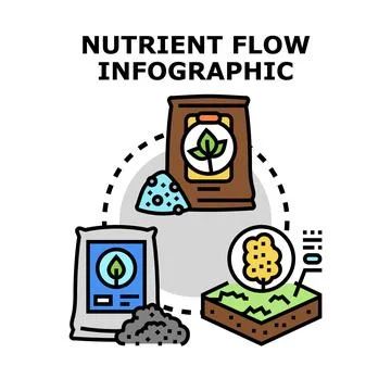 Nutrient flow infographic illustrating soil enrichment process 스톡 일러스트