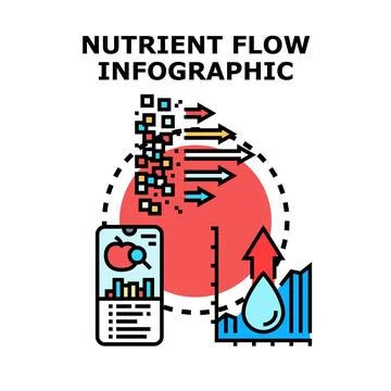 Nutrient flow infographic presenting health and data analysis Stock Illustration